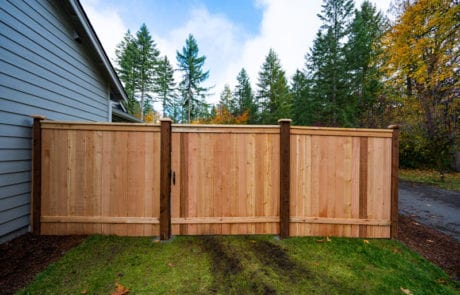 Cedar Fencing Residential