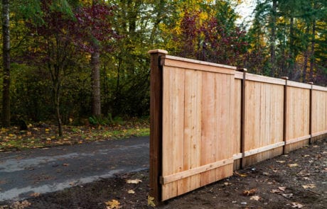 Residential Cedar Fencingwith Gate