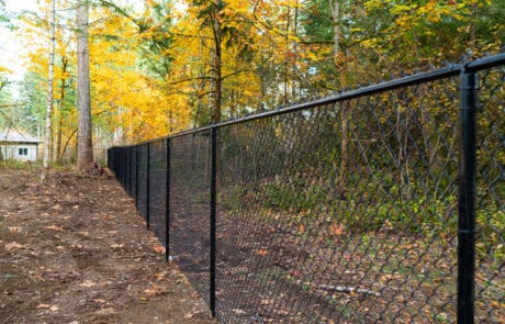 Perimeter Black Chainlink Fencing